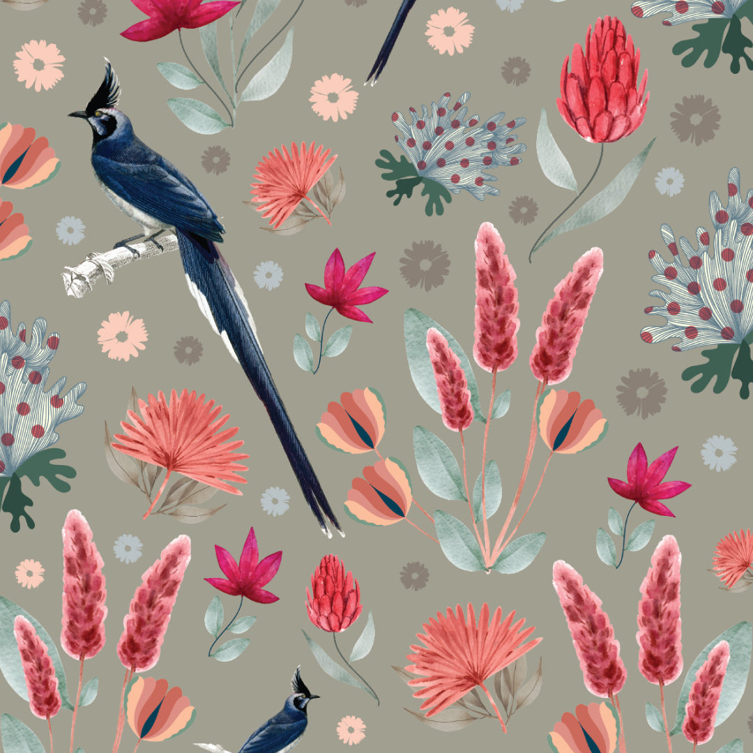 The Daintree Print