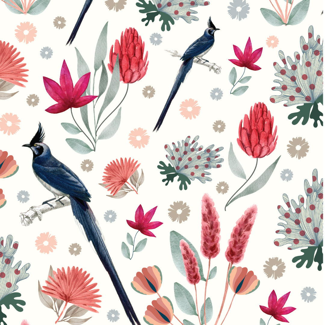 The Daintree Print