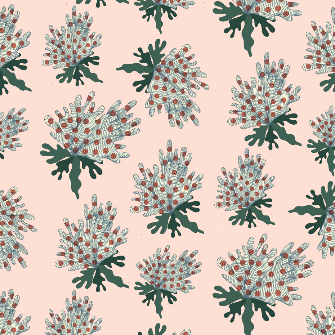 The Bloodroot Print